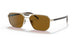 ZVN5Y1 - Gold - Polar Dark Brown