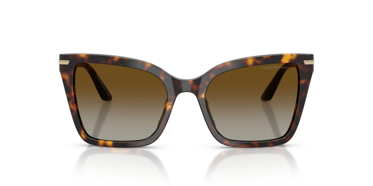 5026T5 - Tortoise - Brown Gradient Polarized