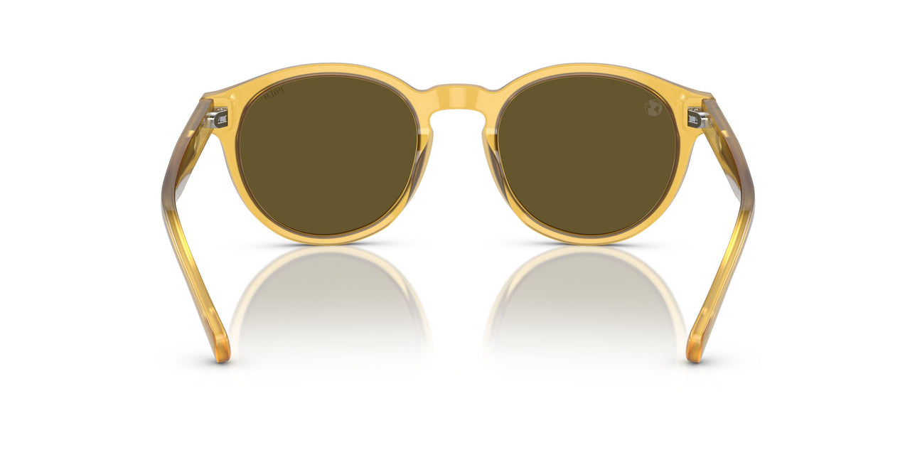 500573 - Tortoise - Dark Brown Olive