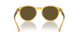 500573 - Tortoise - Dark Brown Olive