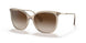 580213 - Brown - Gradient Brown