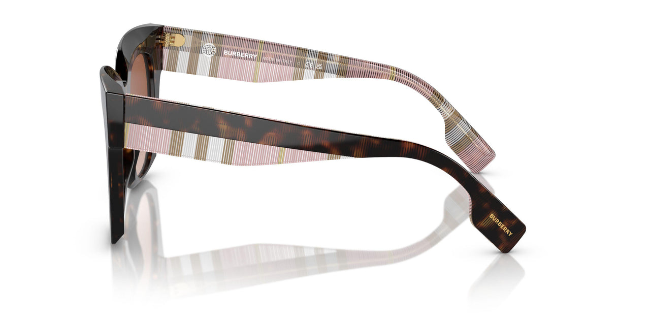407513 - Brown - Brown Gradient