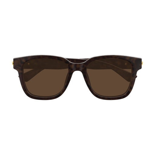 002 - Havana - Brown