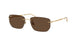 001/73 - Gold - Dark Brown