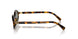 VAU04M - Tortoise - Green Mirror Internal Silver