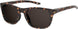 Under Armour Ua0013 Sunglasses