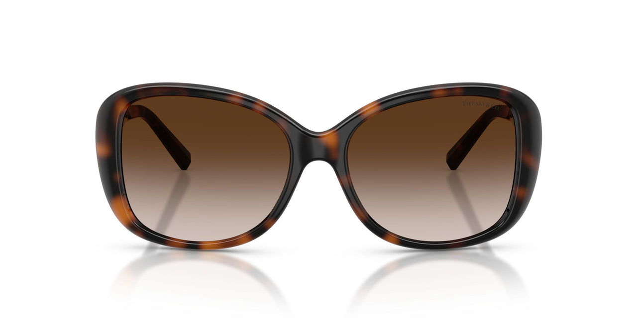 80153B - Tortoise - Brown Gradient