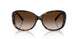 80153B - Tortoise - Brown Gradient