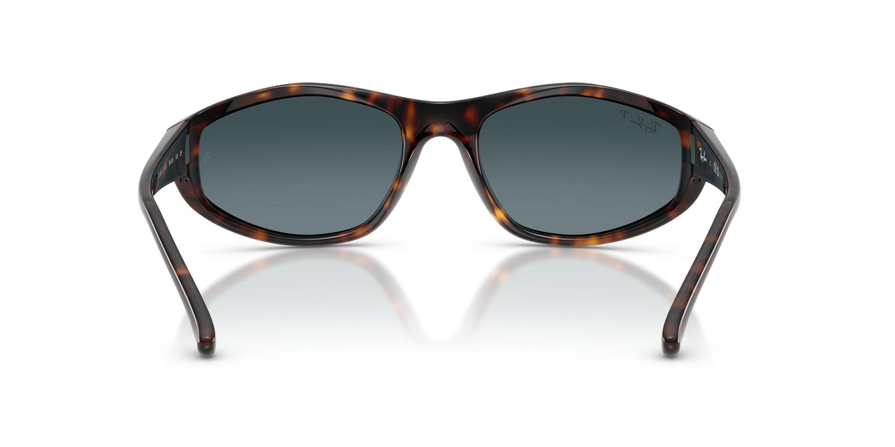710/S3 - Tortoise - Polarized Light Blue Gradient