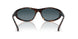 710/S3 - Tortoise - Polarized Light Blue Gradient