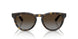 710/T5 - Tortoise - Polarized Light Grey Gradient Brown