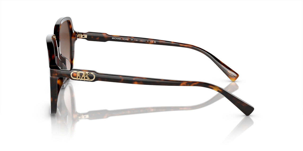 300613 - Tortoise - Brown Gradient