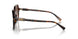 300613 - Tortoise - Brown Gradient