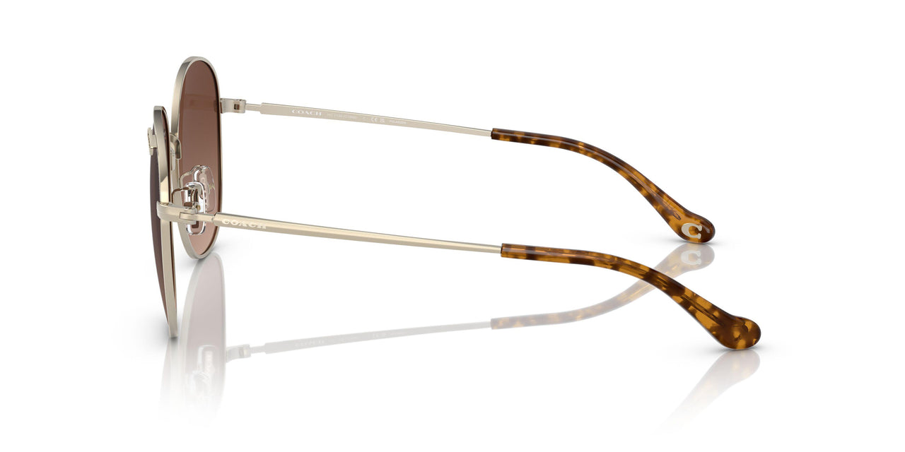 9005T5 - Gold - Brown Gradient Polar