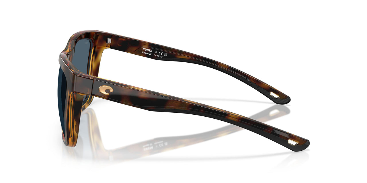 912205 - Tortoise - Gray