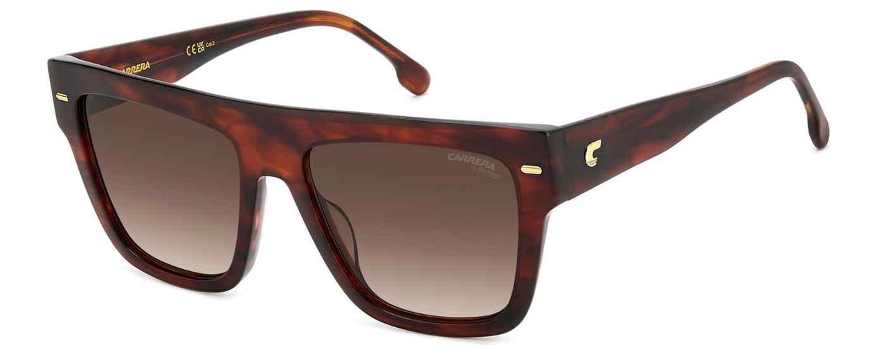0EX4-HA - BRW HORN - Brown Gradient