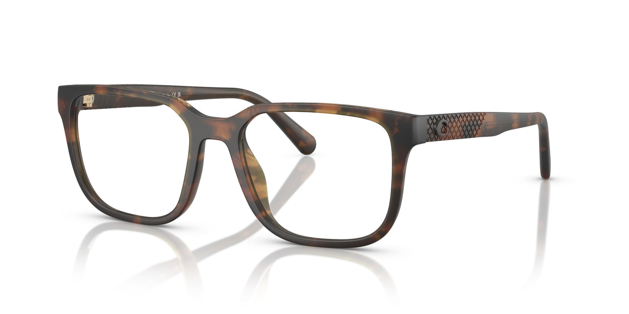 5120 - Tortoise