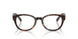 5002 - Tortoise