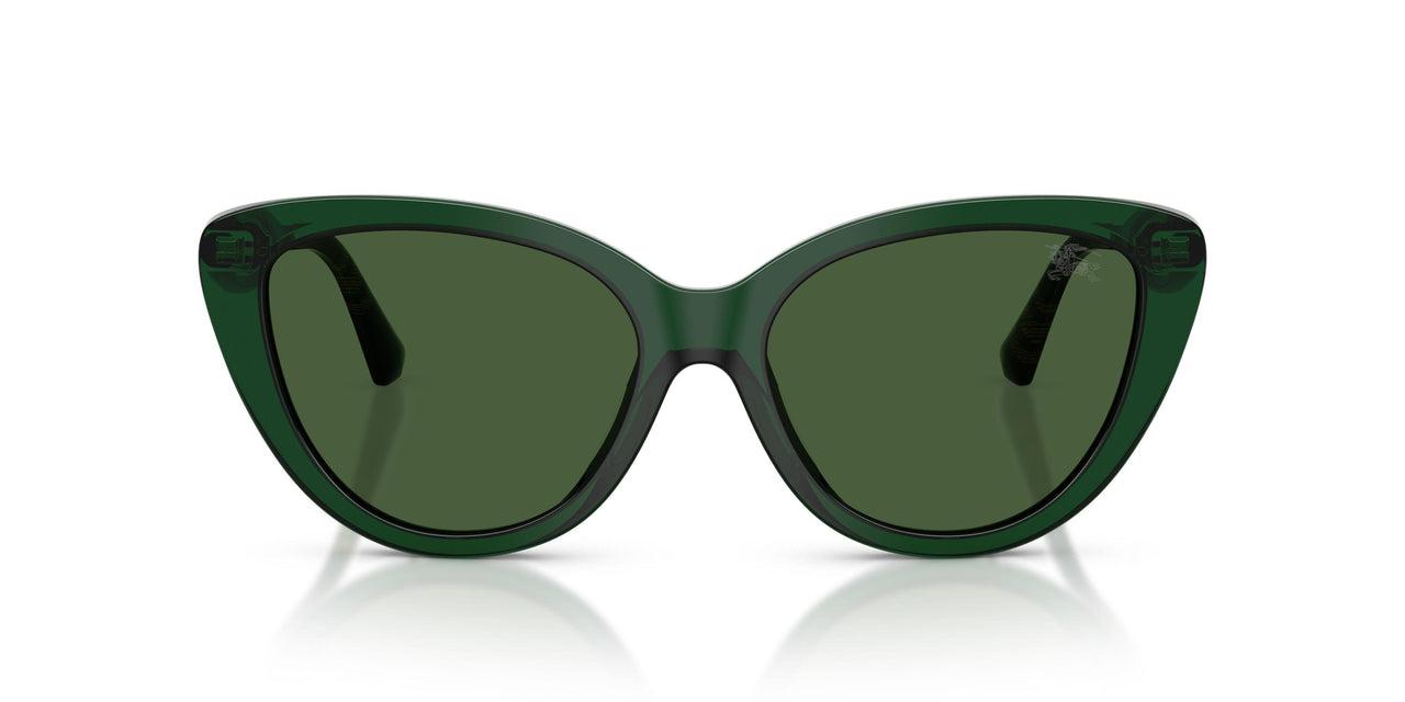 416271 - Green - Dark Green