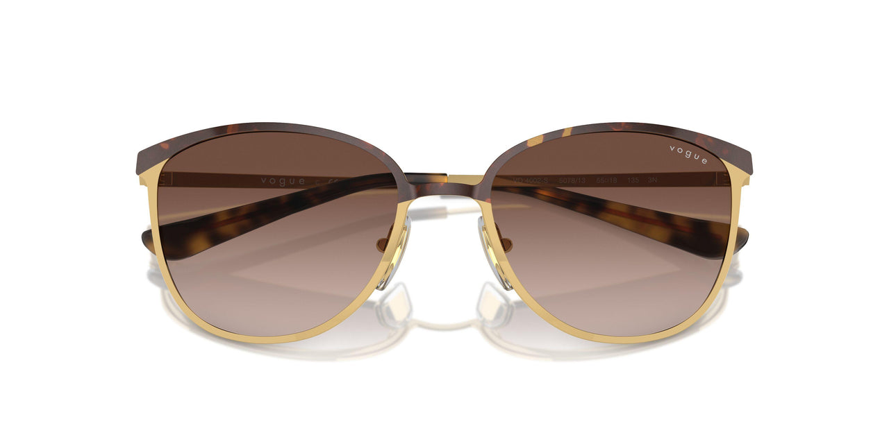 507813 - Brown - Gradient Brown