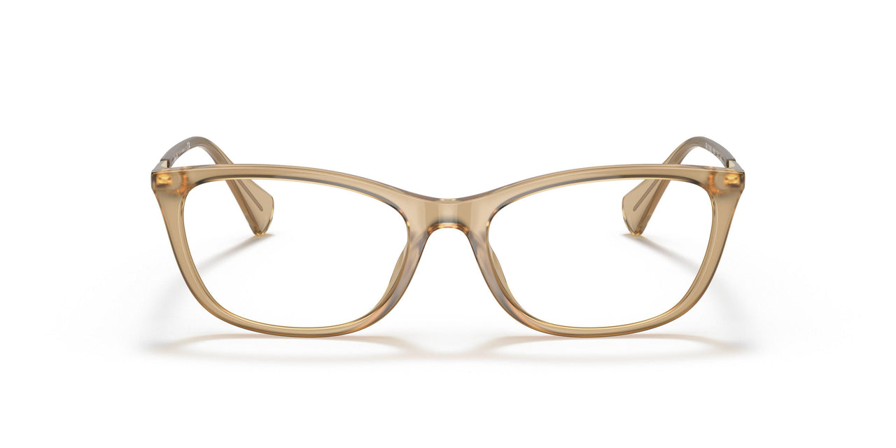 6004 - Transparent