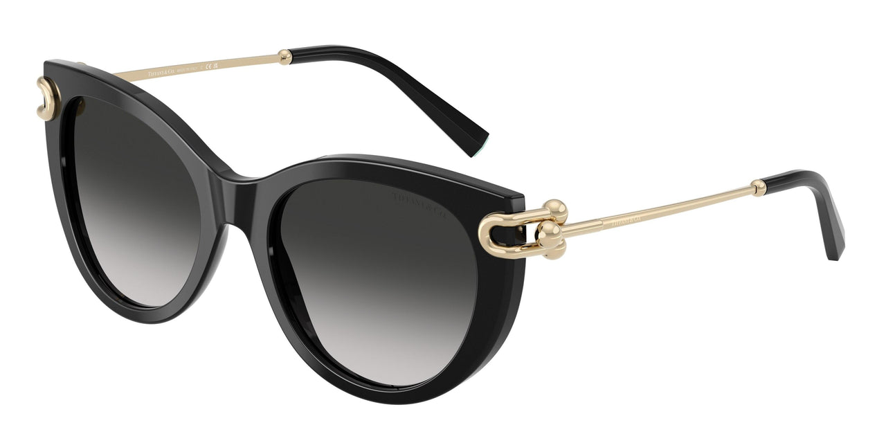 Tiffany 4232F Sunglasses