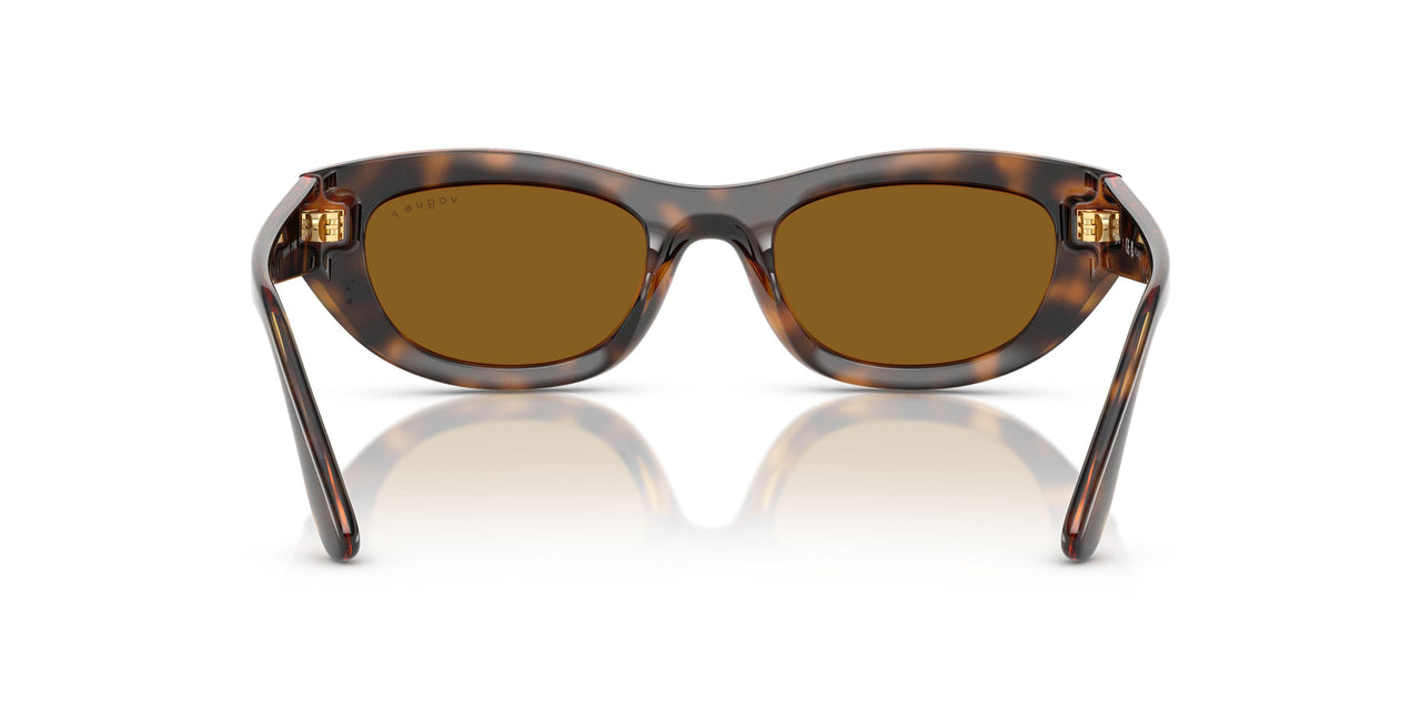 271883 - Brown - Dark Brown Polar