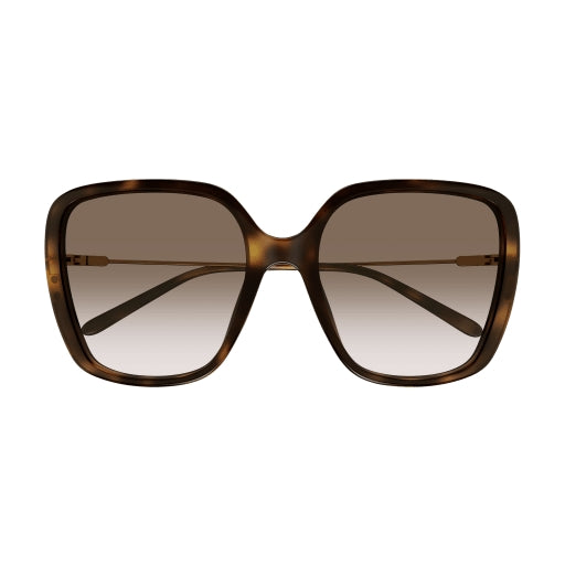 002 - Havana/Gold - Brown