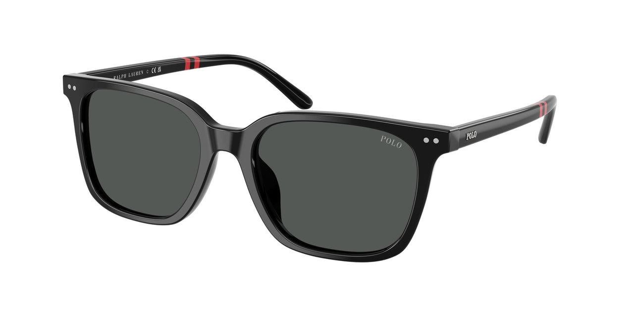 Polo 4235U Sunglasses