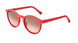 Etnia Barcelona AVINYO 3 SUN Sunglasses