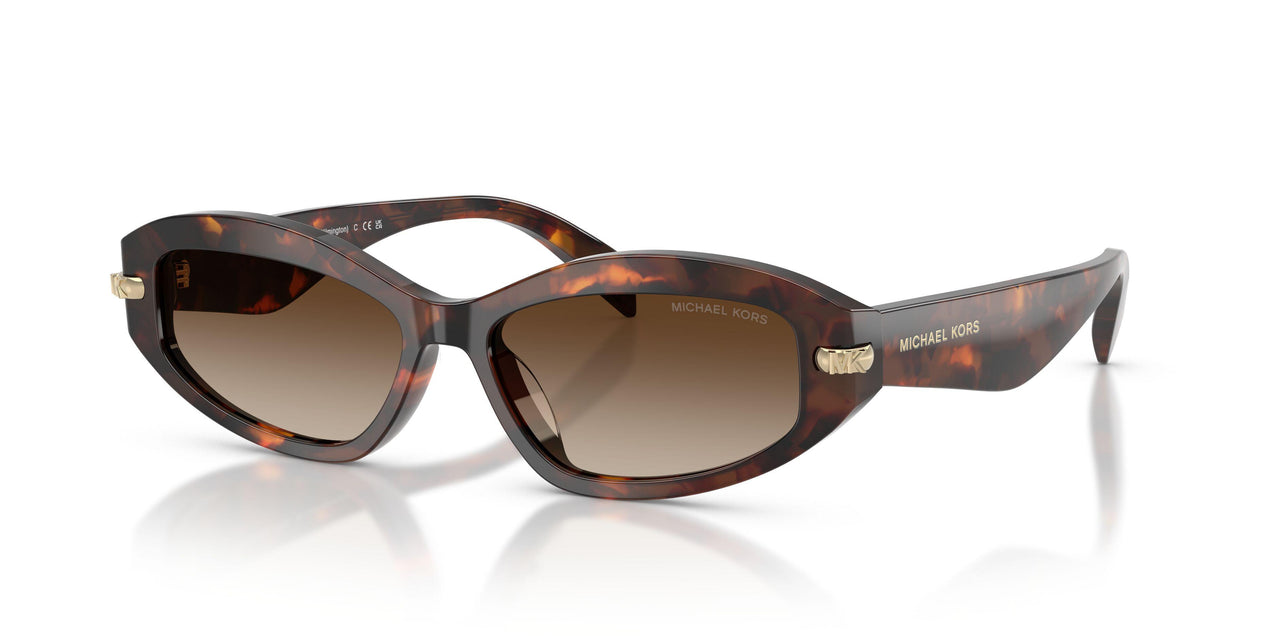 403113 - Tortoise - Smoke Gradient