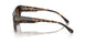 300613 - Tortoise - Smoke Gradient