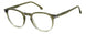 06AK-00 - GREEN HRN