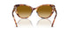 60932L - Tortoise - Gradient Yellow