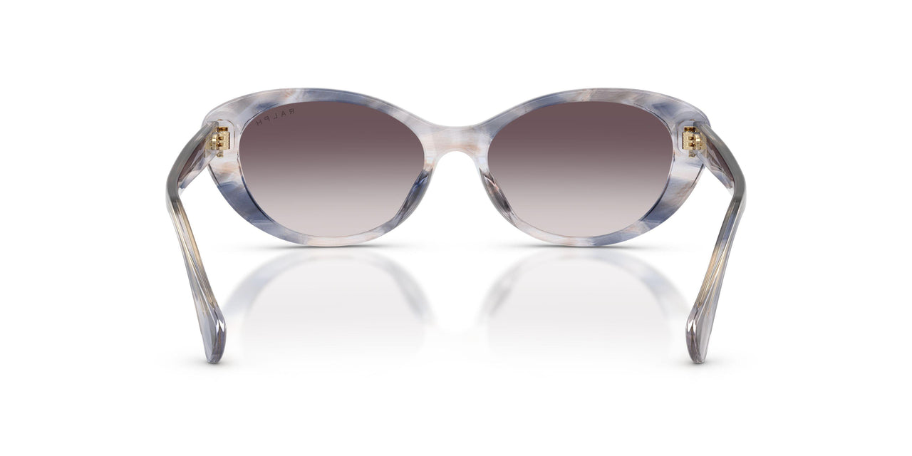 634311 - Tortoise - Grey Gradient