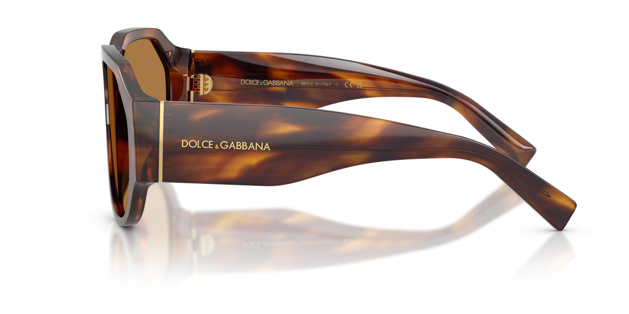 306373 - Tortoise - Bronze