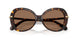100273 - Tortoise - Dark Brown