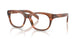 24G1O1 - Brown