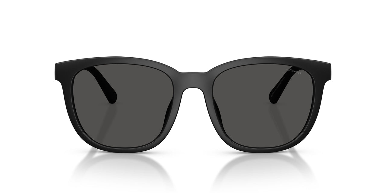 500287 - Black - Grey Solid
