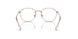 4087 - Brown - Clear