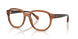 3017 - Brown