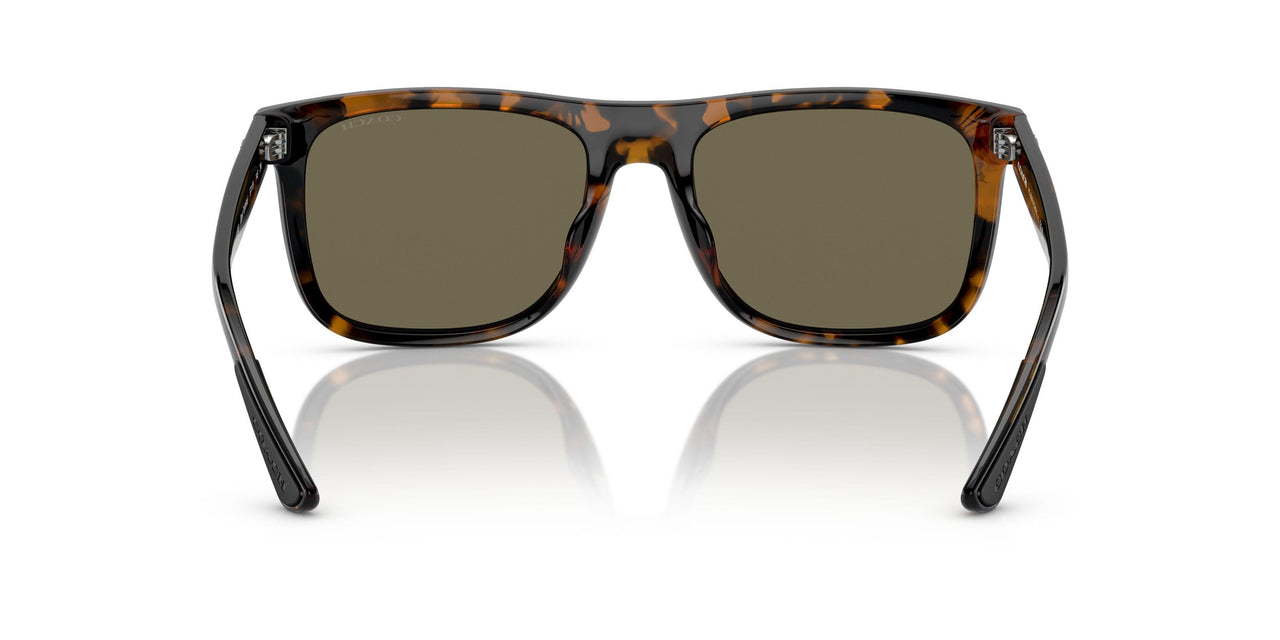 51203 - Tortoise - Brown Solid