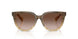 420113 - Brown - Brown Gradient