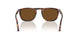 24/57 - Tortoise - Polar Brown