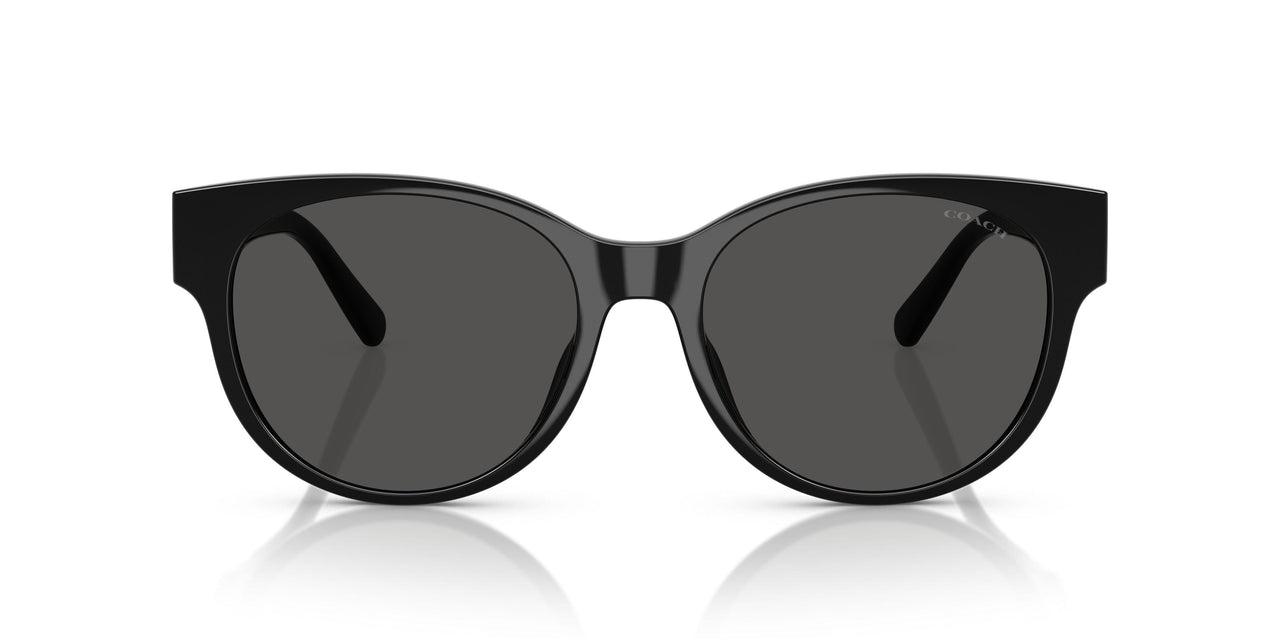 500287 - Black - Grey Solid