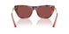 344475 - Tortoise - Dark Violet