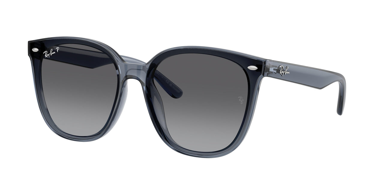 Ray-Ban 4423D Sunglasses