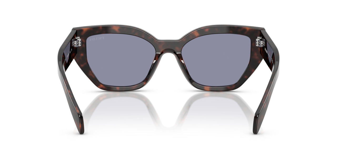 17N03N - Tortoise - Grey