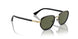 109758 - Black - Green Polar