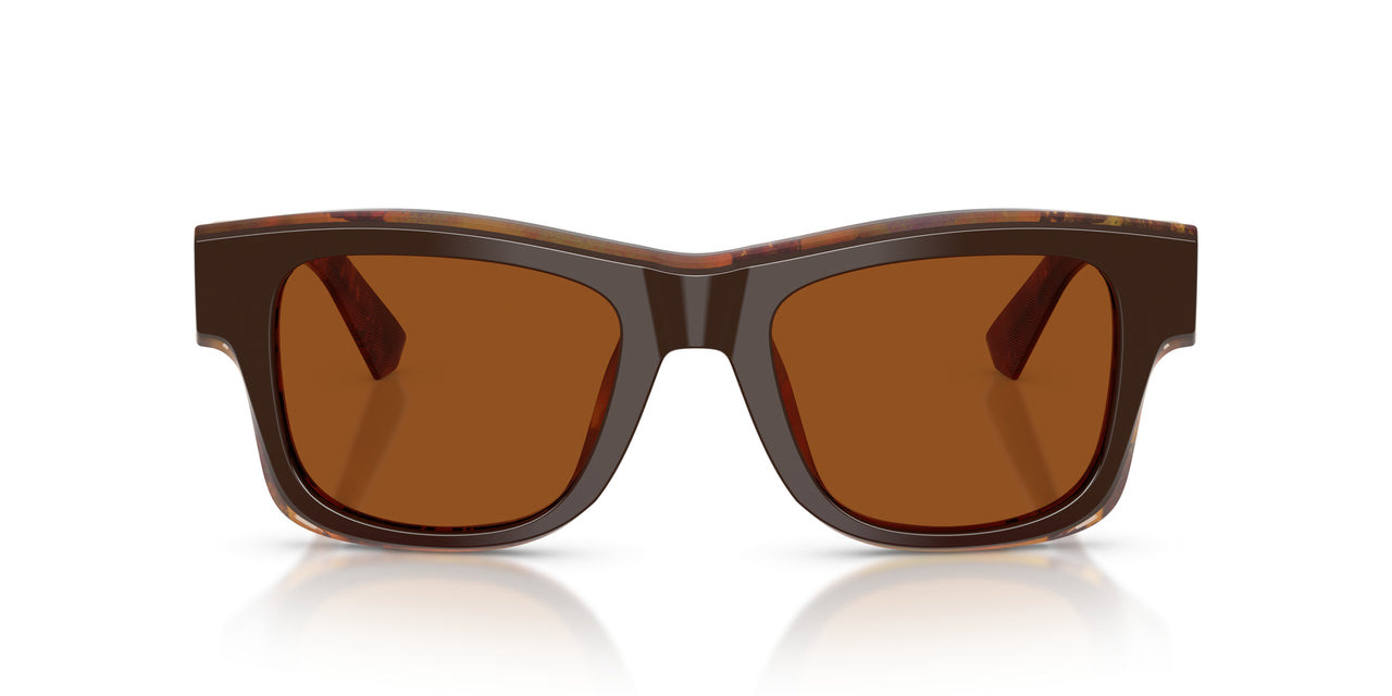 345673 - Brown - Dark Brown